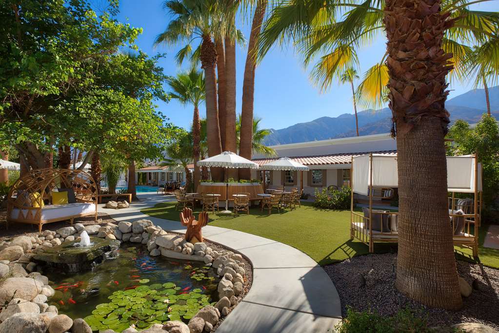 Hotel Dive Palm Springs Zewnętrze zdjęcie